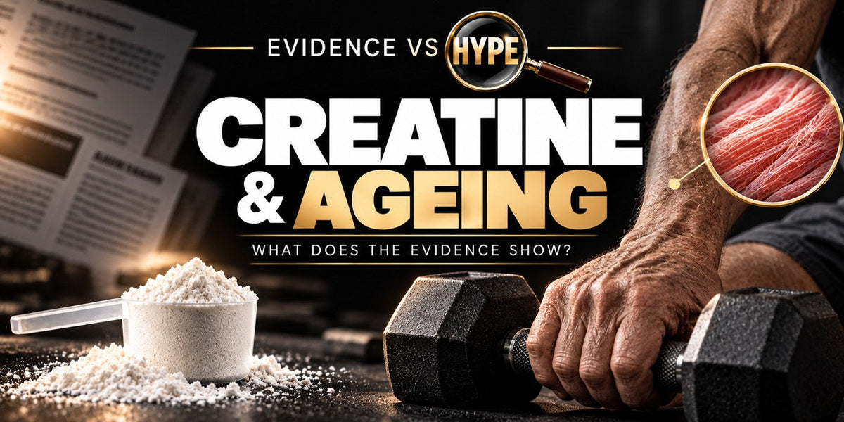 Evidence vs Hype creatine and ageing investigation, with creatine powder, an older adult holding a dumbbell and a conceptual muscle inset.