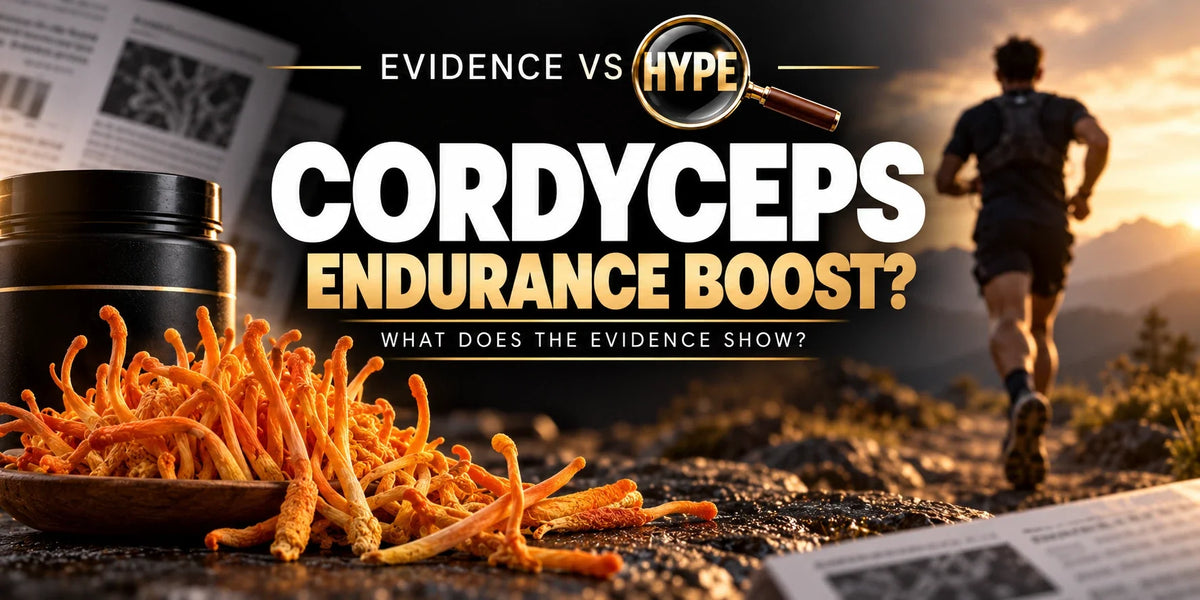 Orange Cordyceps militaris fruiting bodies and a distant runner illustrate the endurance and VO₂ max investigation.